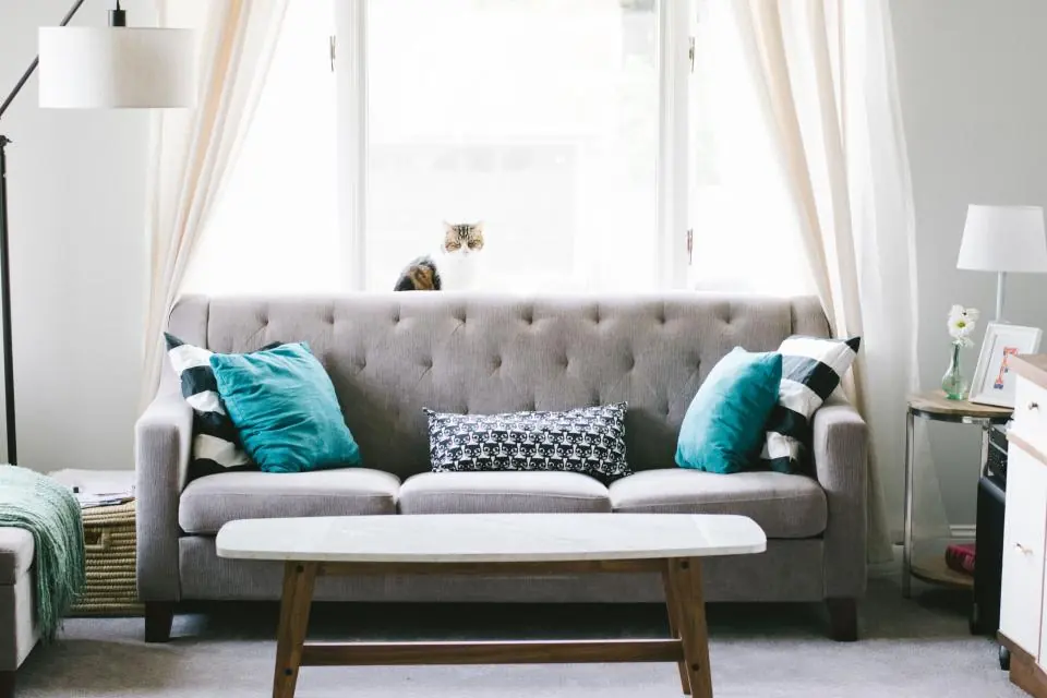 A tidy living room with a gray sofa and bright windows